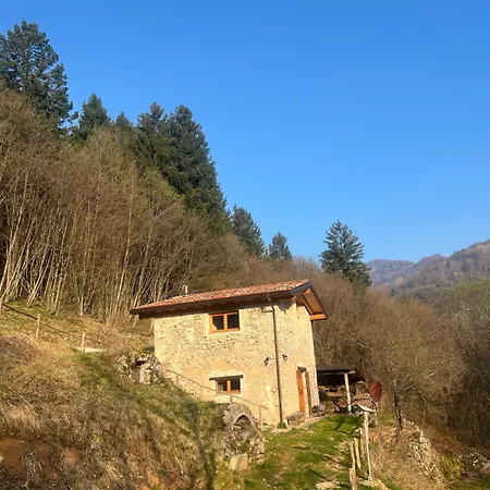 Il Nocciolo Avenone